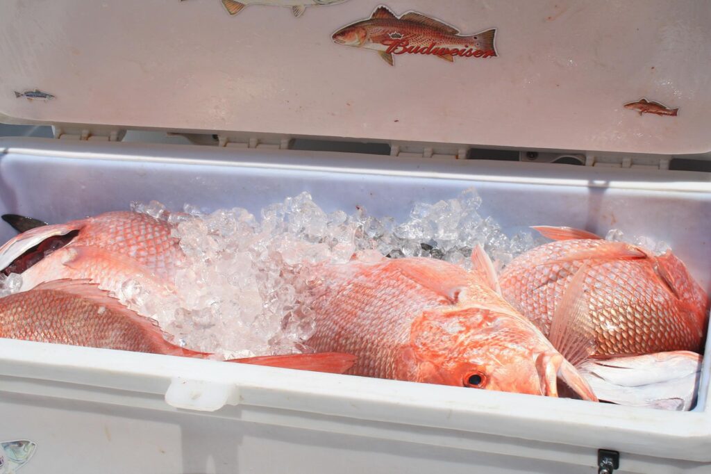 Check out this post and learn the best way to keep fish fresh.