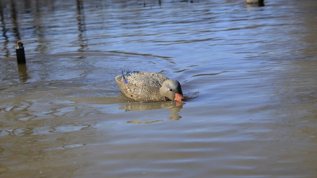 best water motion duck decoys