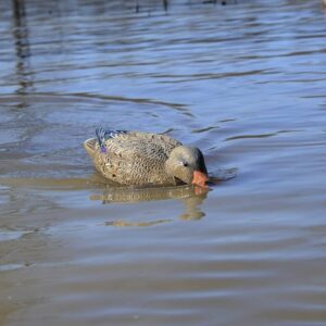 The 5+ Best Water Motion Duck Decoys